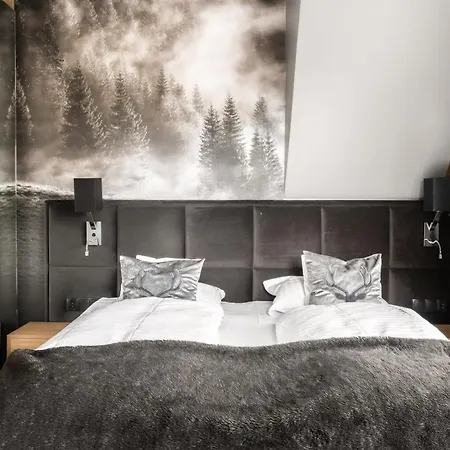 Giewont House & Z Sauna Apartmán Zakopane